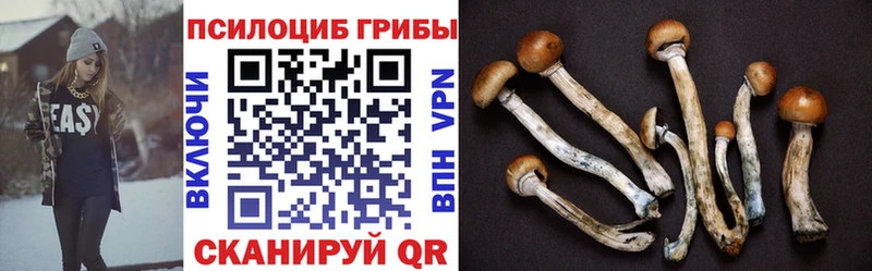 купить  цена  Южноуральск  ссылка на мегу онион  Псилоцибиновые грибы мухоморы 