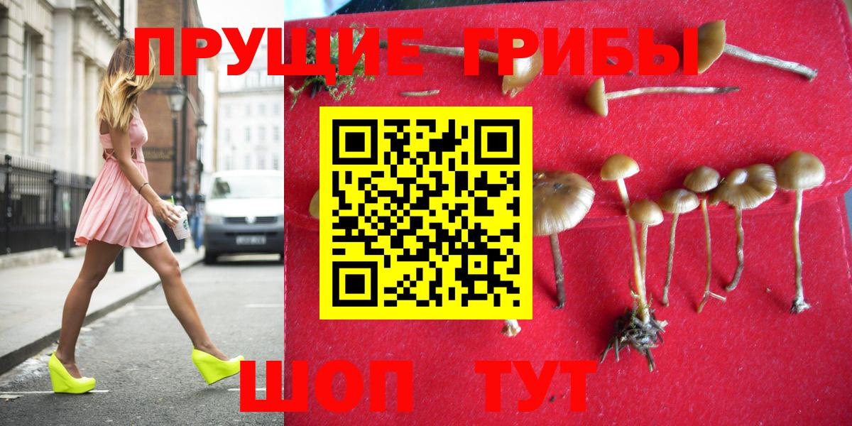 Южноуральск  Псилоцибиновые грибы Psilocybe  Вход с VPN 